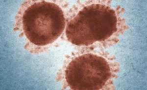 FinCEN Points Warning on Coronavirus Scams Demanding Crypto