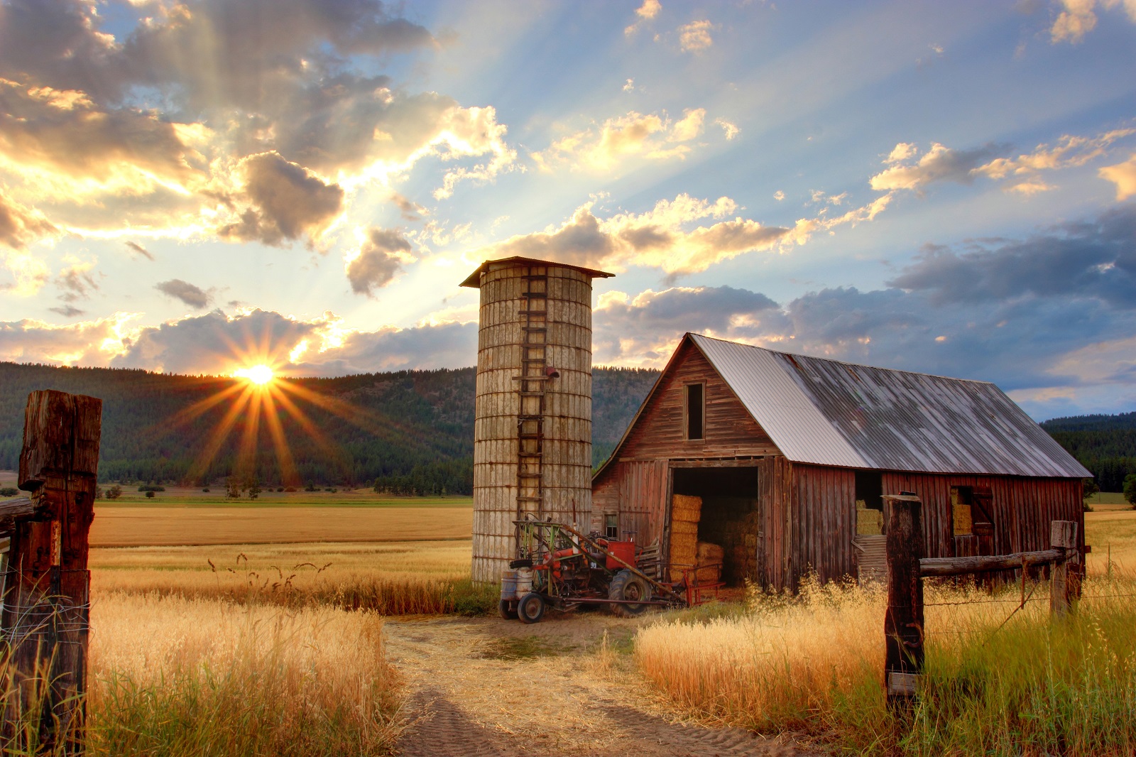 What Is Yield Farming? The Rocket Gasoline of DeFi, Defined
