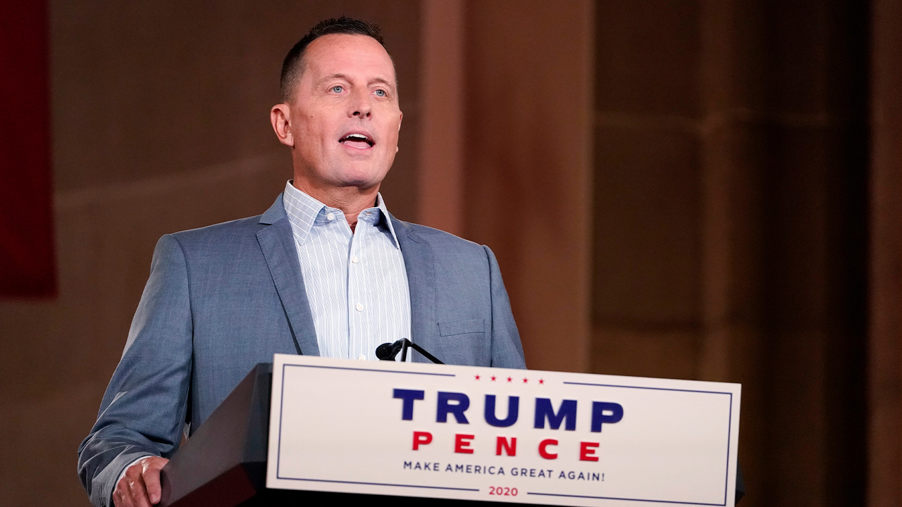 Richard Grenell claims he watched Trump ‘appeal’ Germany’s Merkel