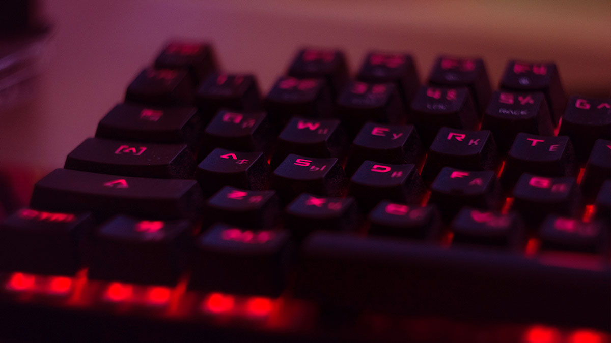 German Police Seize $29M in Bitcoin From Content material Pirate