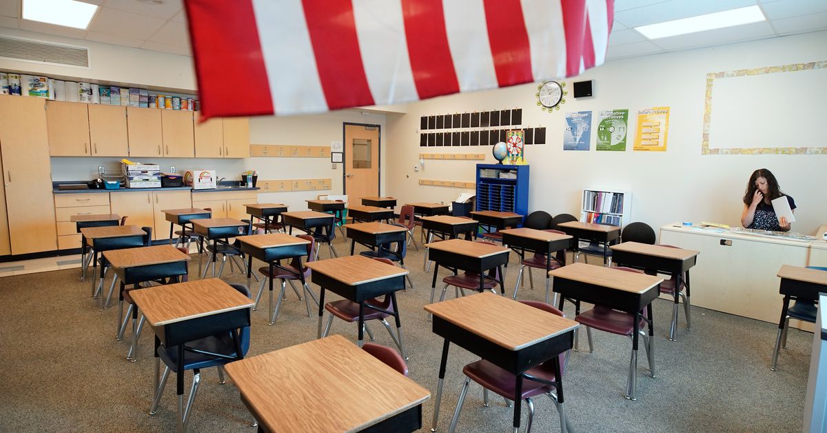 College closures: The door to reform US training within the pandemic is closing 