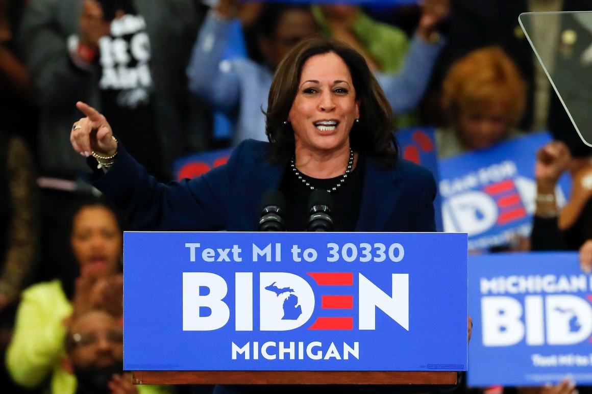 Biden says Harris is ‘very a lot in competition’ to be his working mate