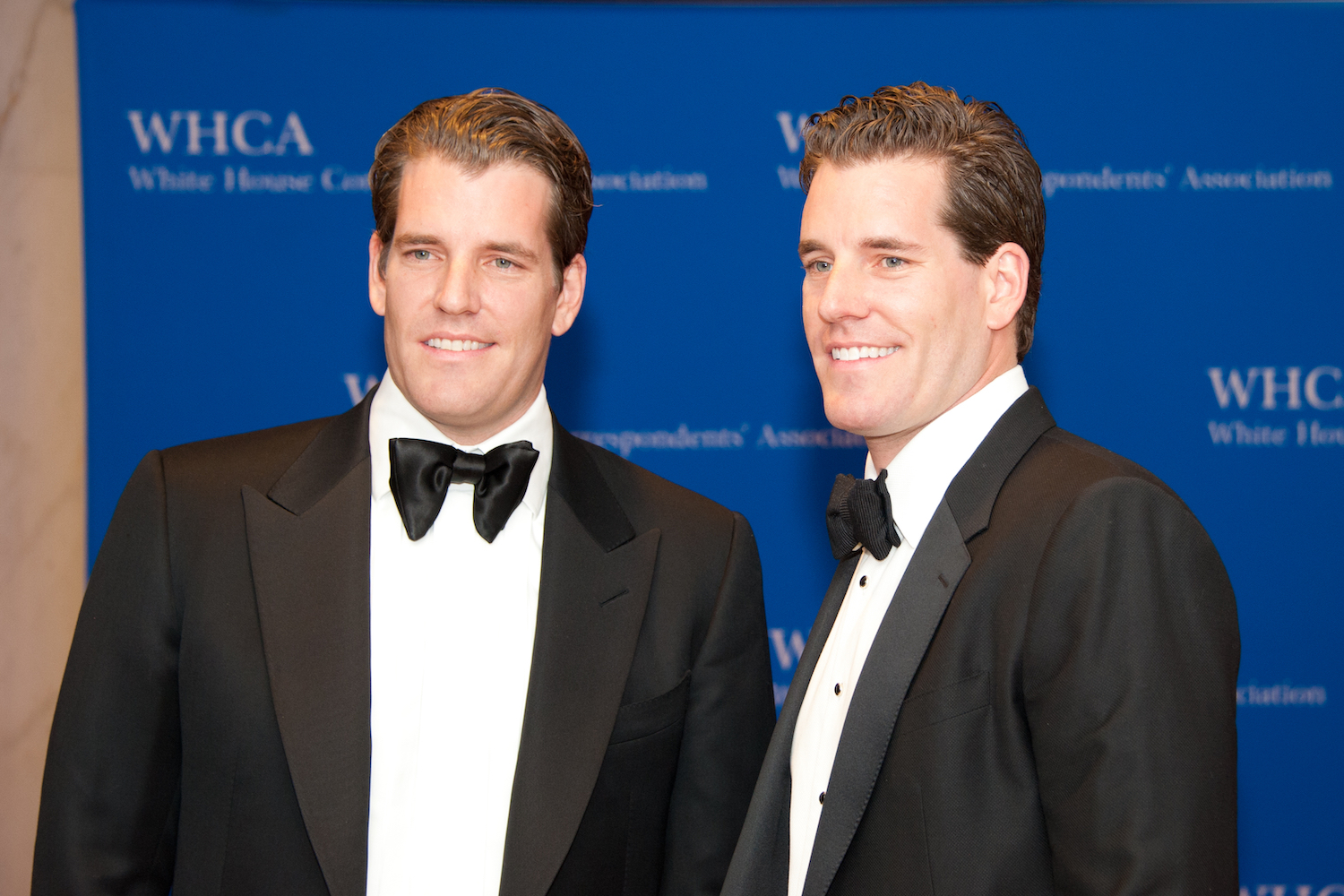 Winklevoss Brothers Say Bitcoin May Attain $500Ok because the ‘Solely’ Lengthy-Time period Inflation Hedge