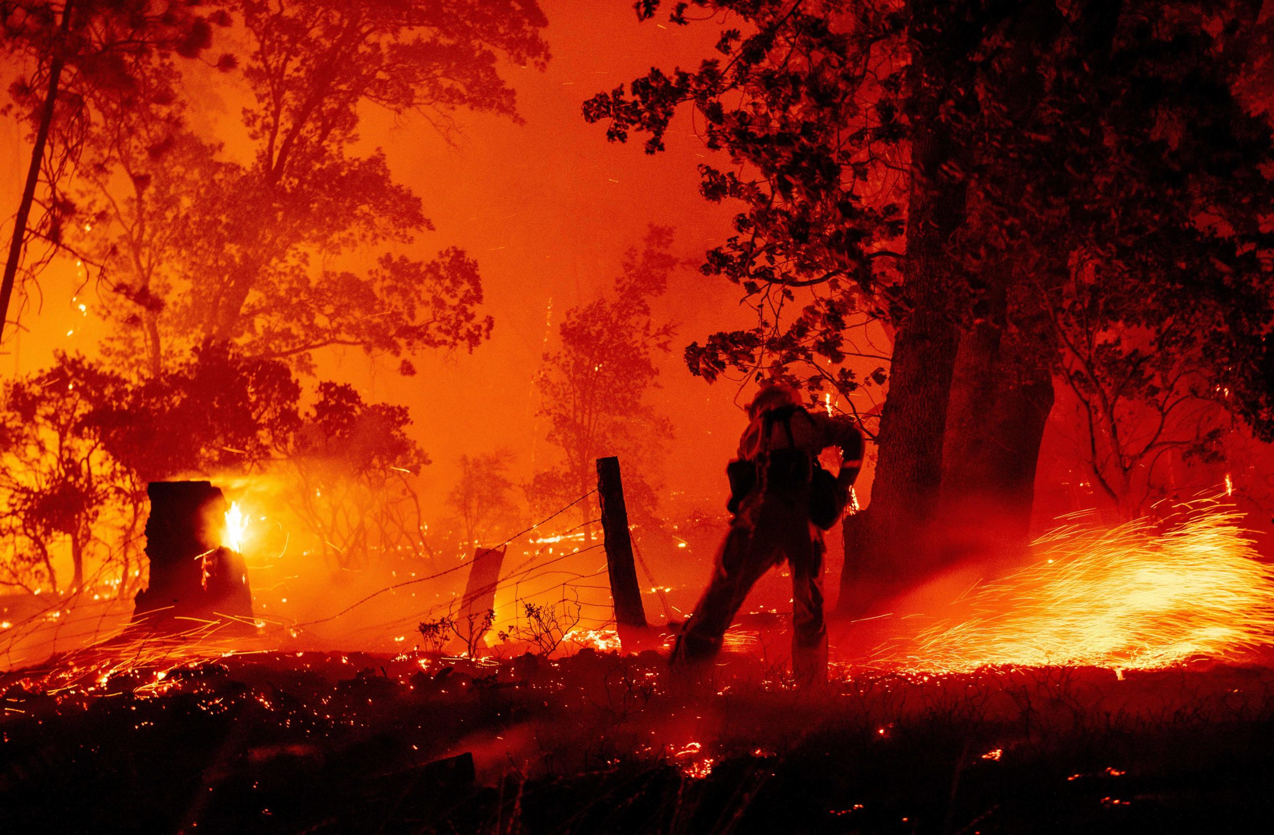 Gender reveal social gathering sparked El Dorado California wildfire