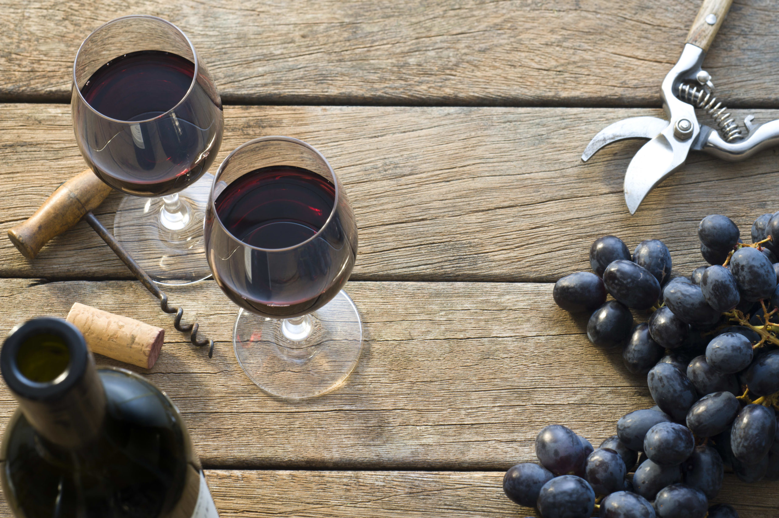 How a course of utilizing carbon dioxide may cease your wine from spoiling