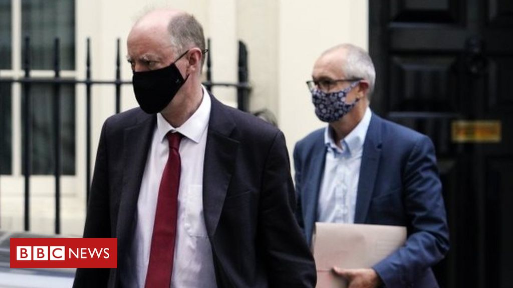 Coronavirus: Whitty and Vallance confronted ‘herd immunity’ backlash, emails present Coronavirus: Whitty and Vallance confronted ‘herd immunity’ backlash, emails present