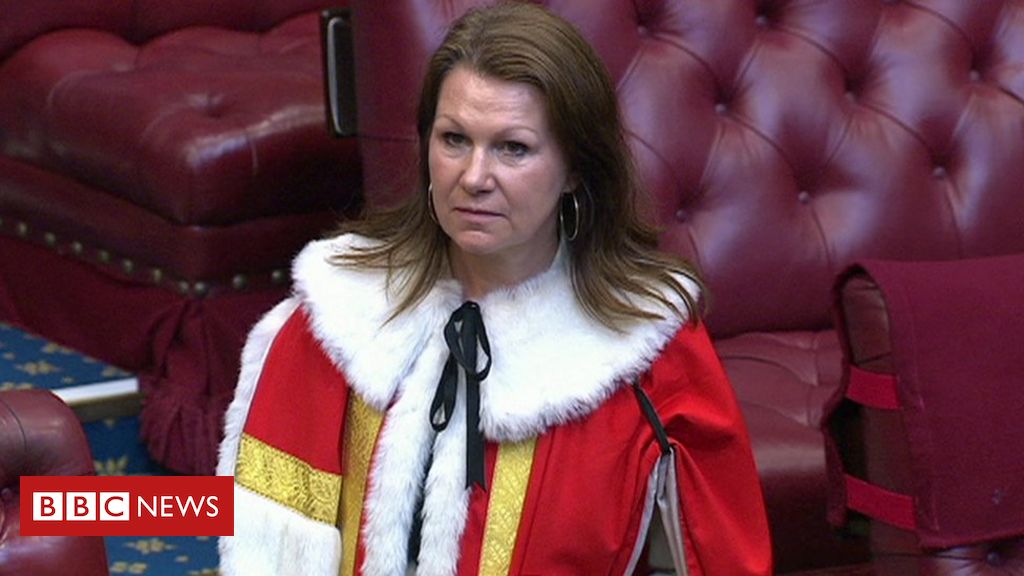 Parliament: New peer says Lords robes ought to use pretend fur