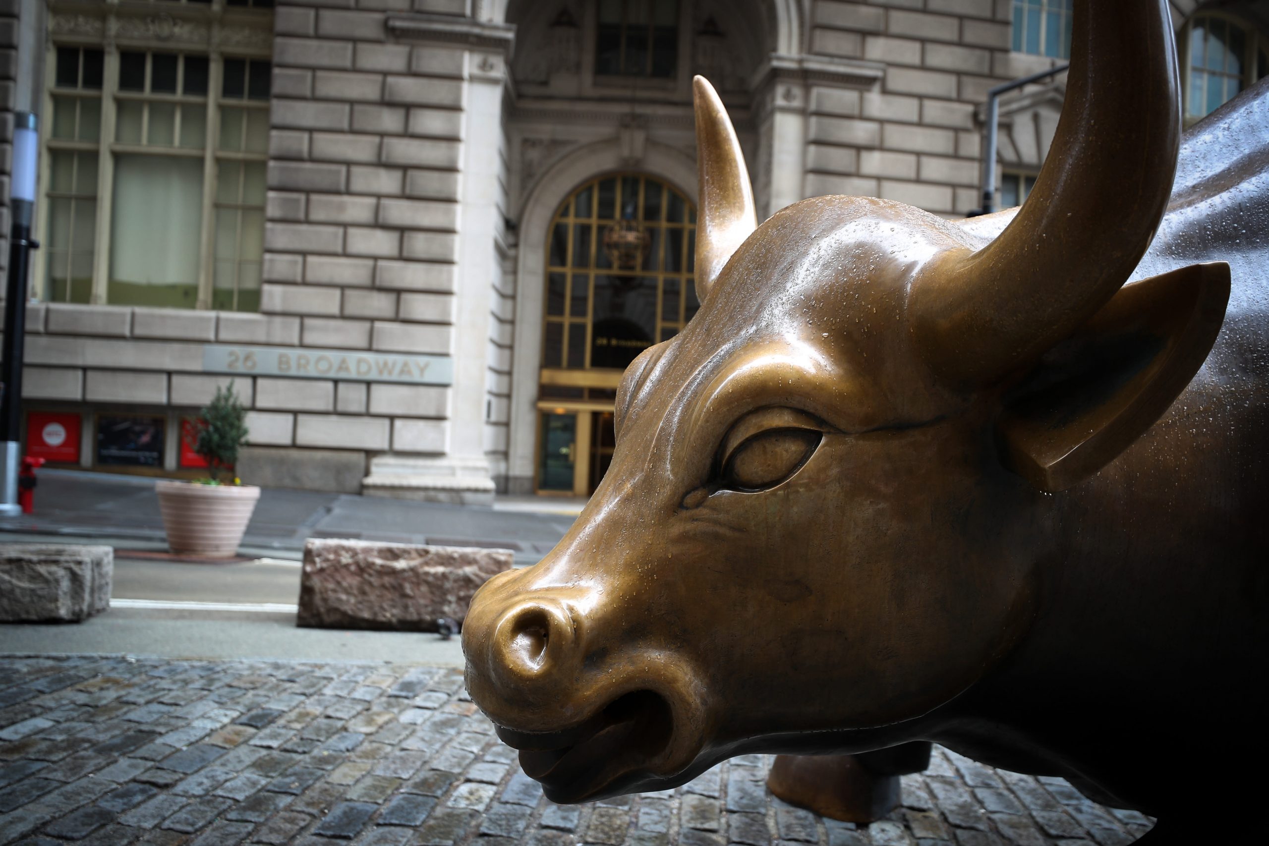 5 ‘Covid-proof bull markets’ to search out inventory alternatives
