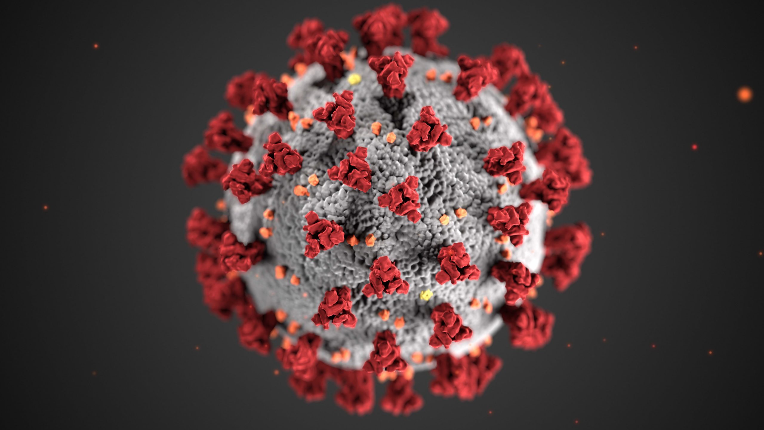 Coronavirus variant seen spreading throughout Europe, analysis says