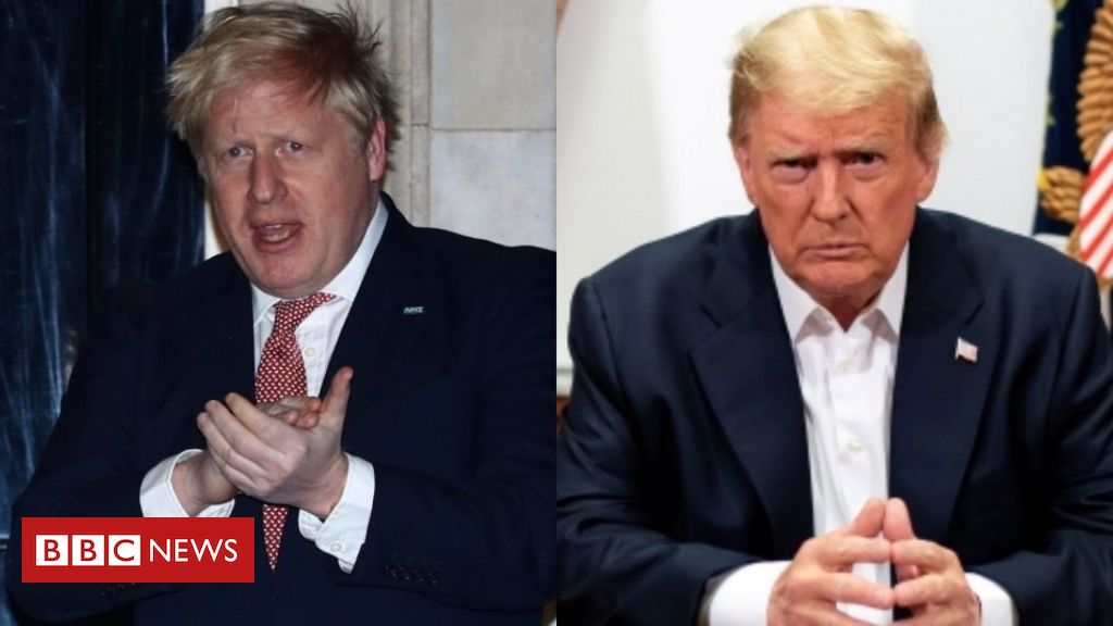 Trump Covid: How his expertise compares with Boris Johnson’s