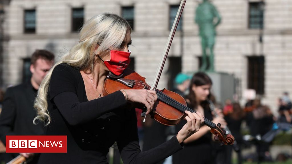Tons of of musicians protest outdoors Parliament