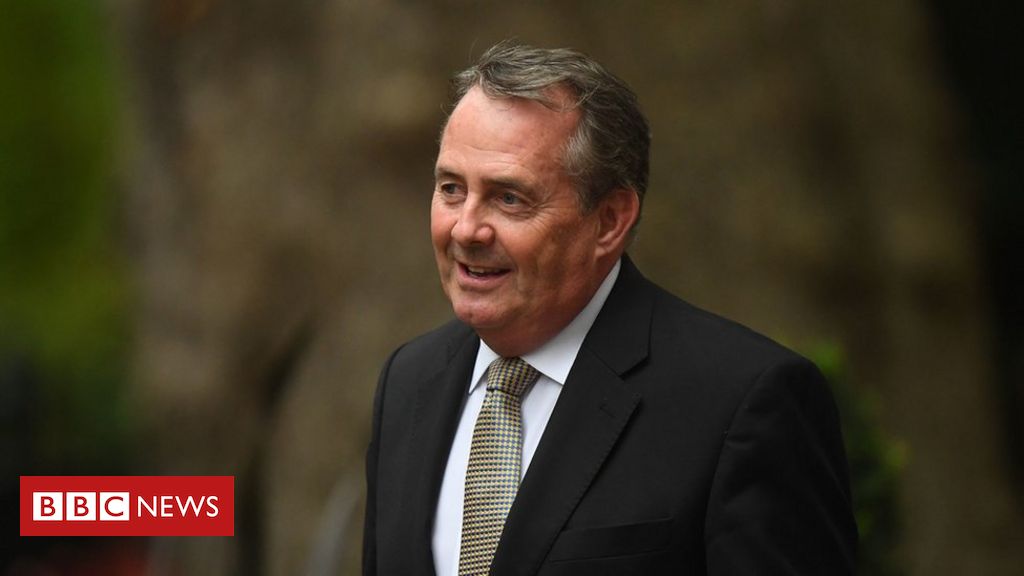 Liam Fox: Tory MP out of WTO chief race as area narrows