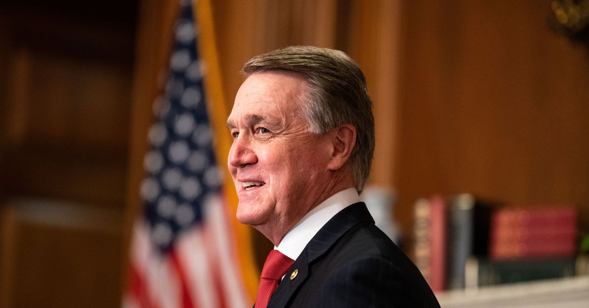 Sen. David Perdue’s racist therapy of Kamala Harris’s title was all too acquainted 