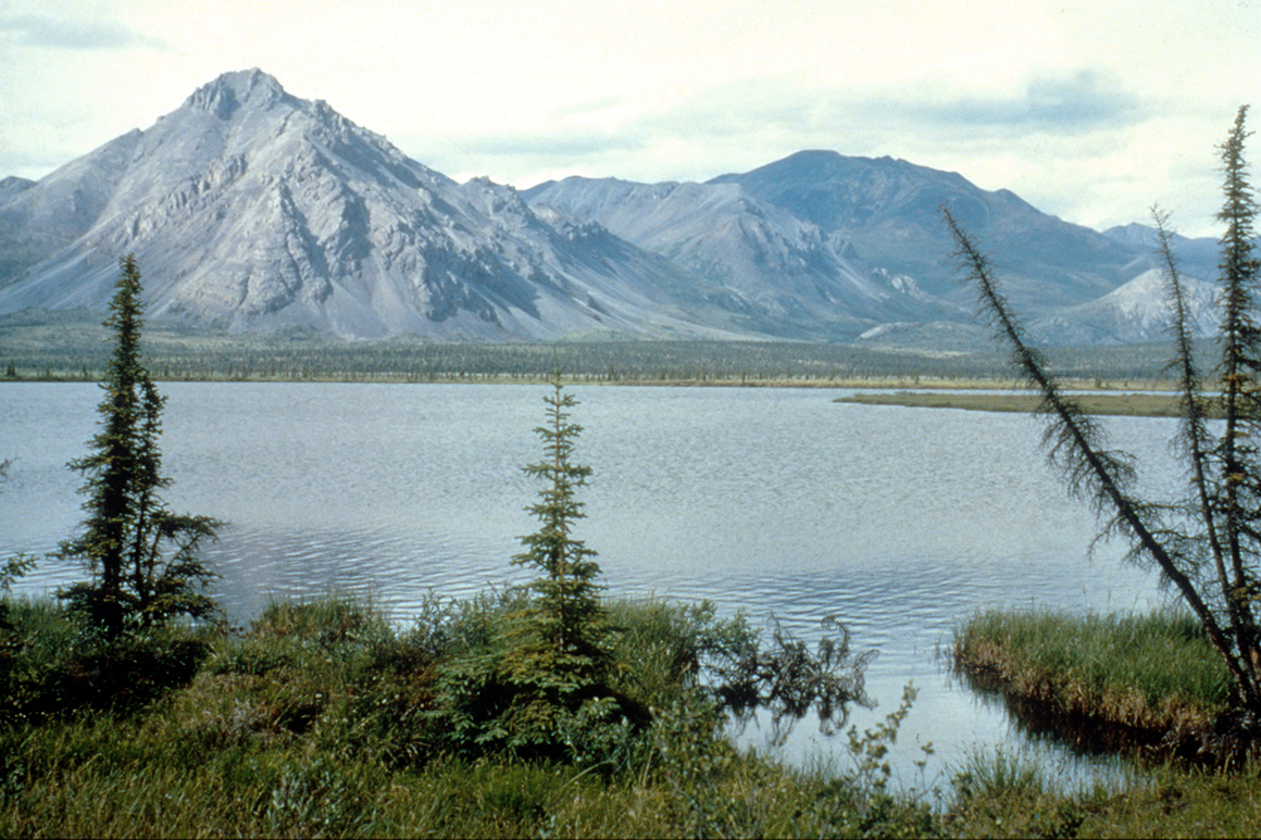 Biden freezes oil leases in Alaska refuge pending new environmental assessment