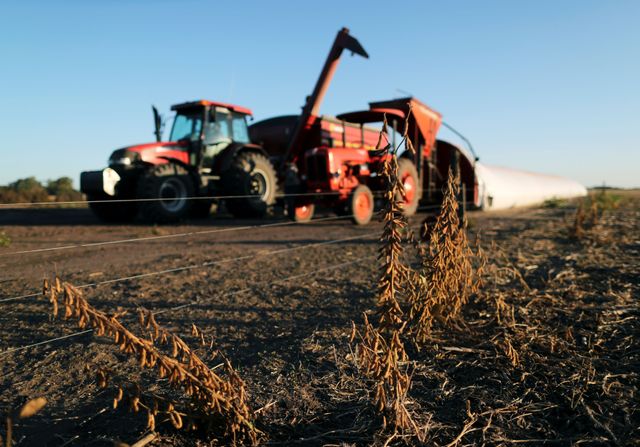Argentina farm physique slams authorities over ‘inadequate’ grains tax cuts Argentina farm physique slams authorities over ‘inadequate’ grains tax cuts