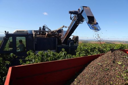 Brazil registers large improve in Sept espresso, sugar exports Brazil registers large improve in Sept espresso, sugar exports