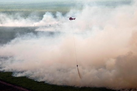 Practically a 3rd of Indonesia forest fires fall in pulp, palm areas -Greenpeace