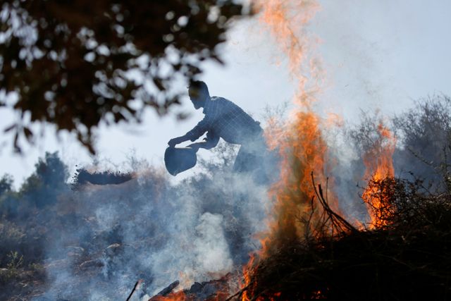 West Financial institution Palestinians’ olive bushes burn as U.N. urges safety for harvest