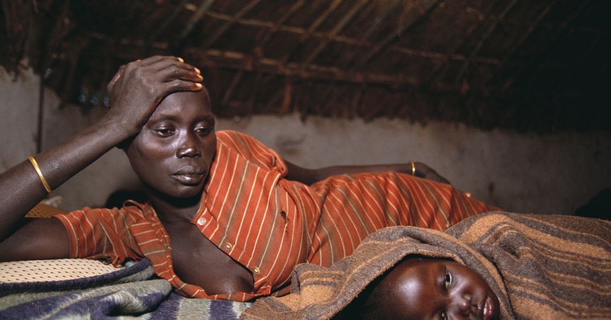 New research reveals malaria’s typically uncared for toll on a weak inhabitants: Pregnant ladies