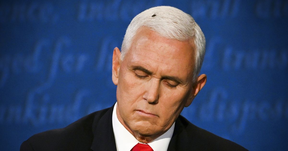 The fly on Mike Pence’s head was the actual winner of the 2020 vice presidential debate
