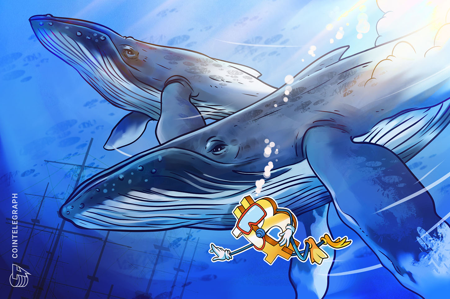 Bitcoin whales tread water and hodl regardless of current BTC value drop