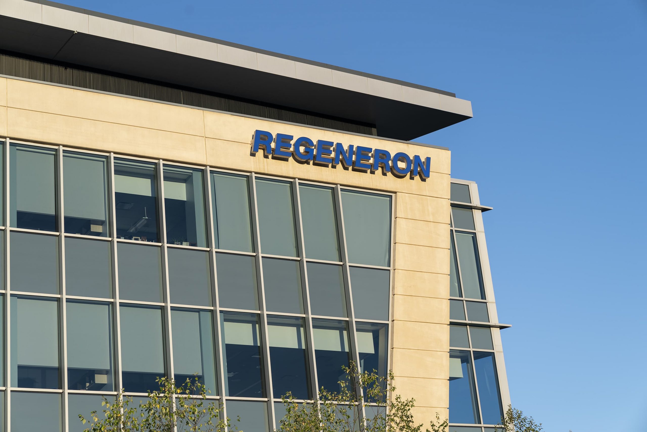Regeneron to request FDA clearance for antibody drug as preventative therapy