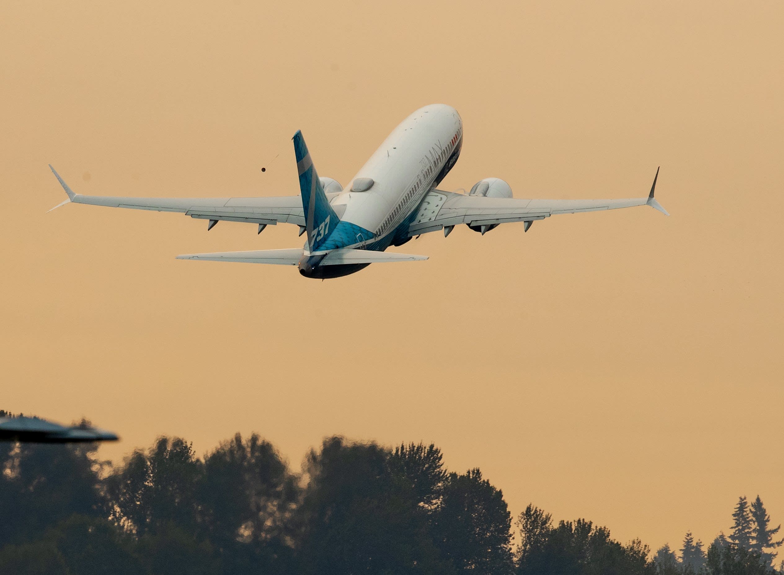 Boeing 737 Max cleared to fly once more after 20-month grounding