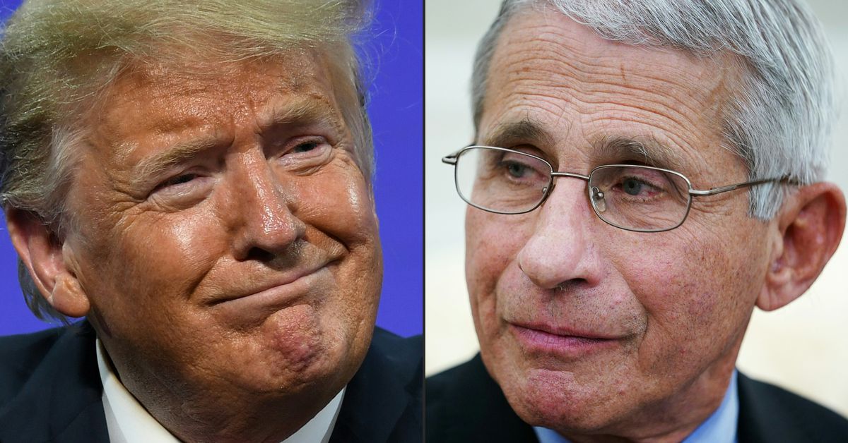 Trump stated he may hearth Fauci after the election