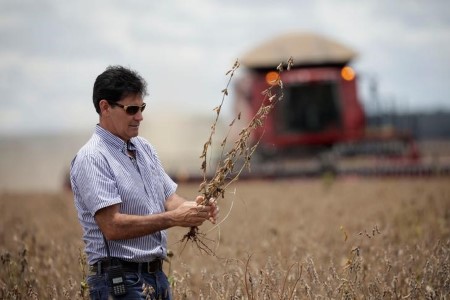 Brazil farmers promote file soy quantity prematurely from 2020/2021 crop -Datagro Brazil farmers promote file soy quantity prematurely from 2020/2021 crop -Datagro