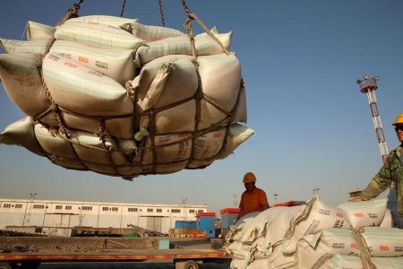 Chinese language patrons look to cancel U.S. soybean orders as processing margins shrink