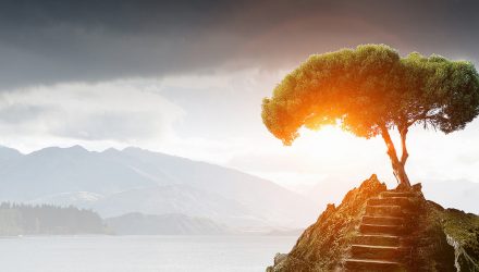 Switching It Up—ETF Buying and selling | Nasdaq