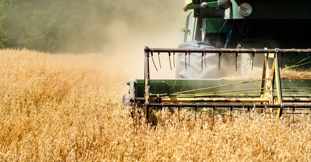 Blockchain Grain Buying and selling Platform Sees Business Launch to Faucet Russia Market Blockchain Grain Buying and selling Platform Sees Business Launch to Faucet Russia Market