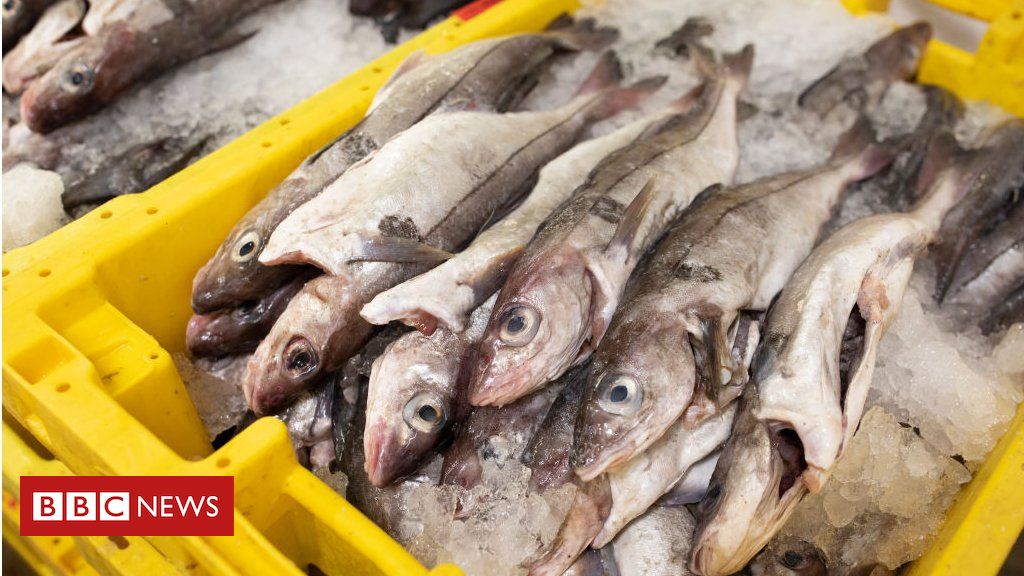 Brexit: Why is there a row over fishing rights?