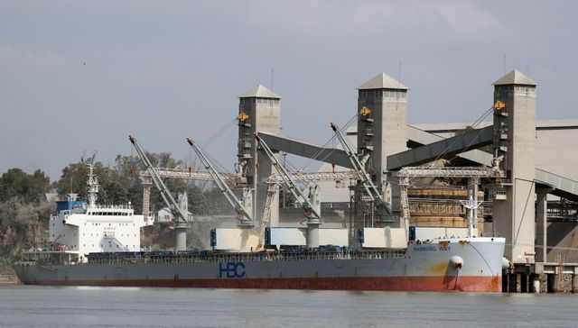 Greater than 100 grains cargo ships delayed by Argentine port employees strike