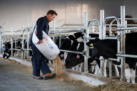 U.S. challenges Canada’s dairy tariff-rate quotas