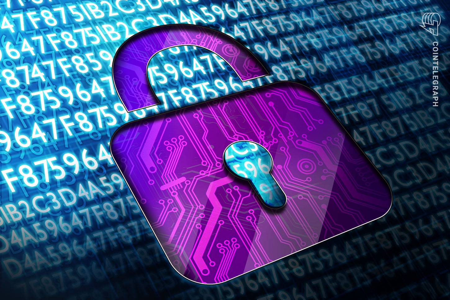 Immutable Ethereum privateness protocol proposes governance system Immutable Ethereum privateness protocol proposes governance system