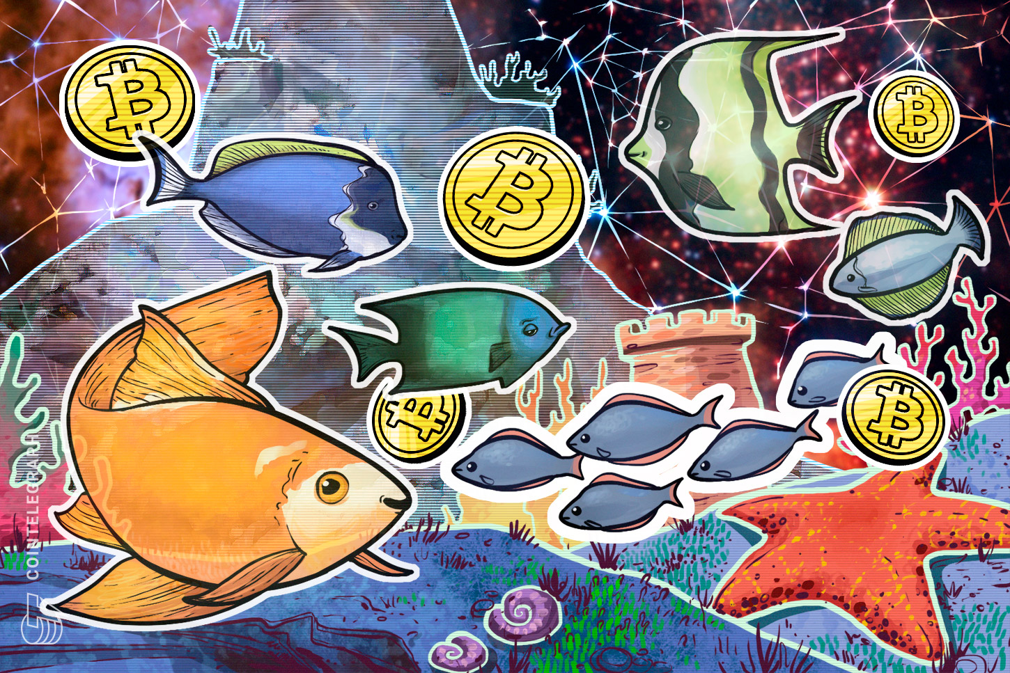 Bitcoin scarcity as Wall Road FOMO turns BTC whales into ‘plankton’