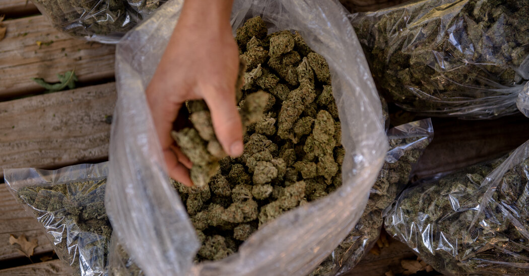 Home Passes Landmark Invoice Decriminalizing Marijuana