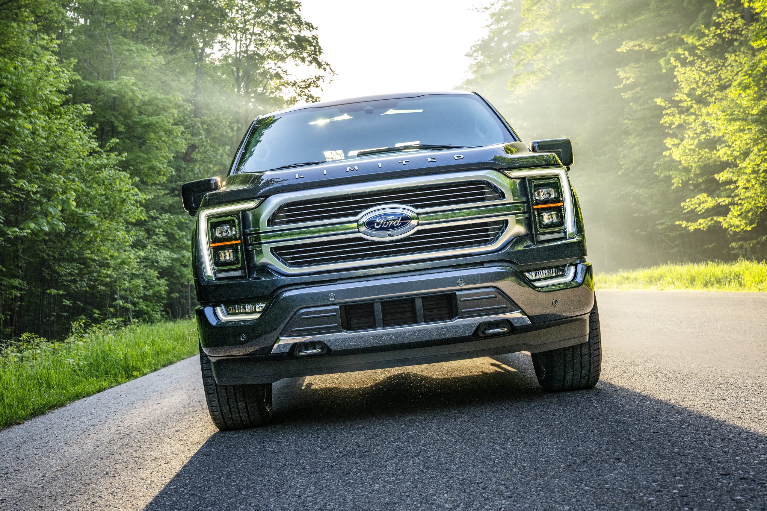 Ford to chop F-150 pickup truck manufacturing attributable to chip scarcity