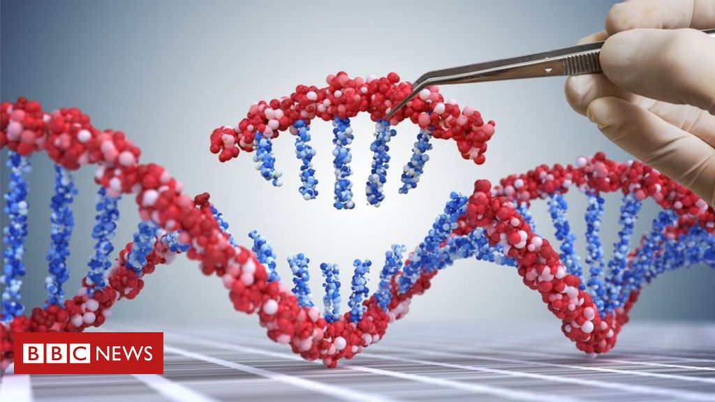 UK session launched over gene edited meals