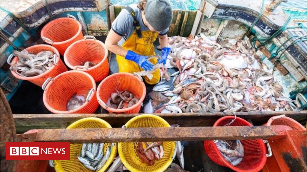 Brexit: Ministers accused of fishing compensation U-turn