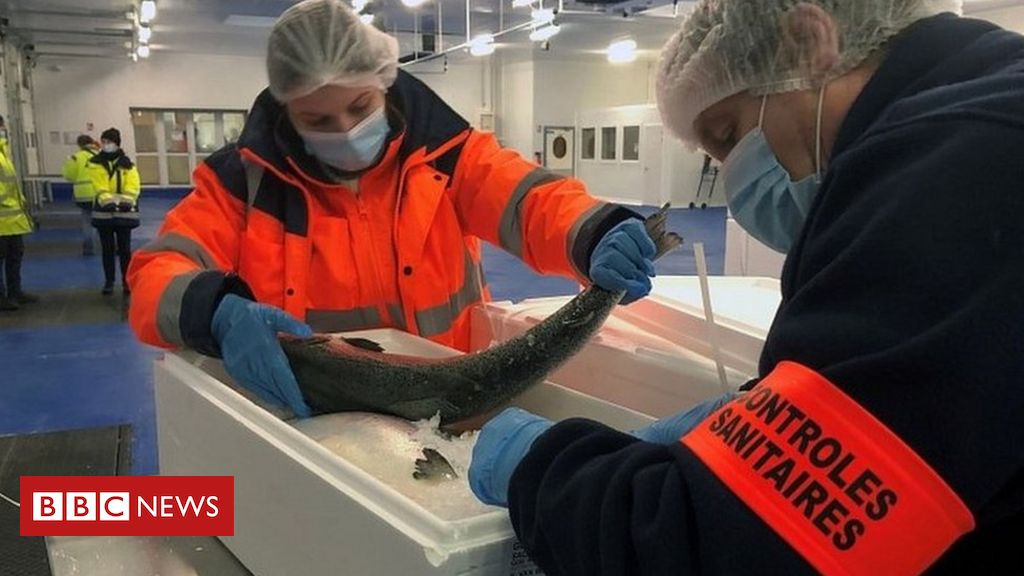 £23m help fund for struggling fishing corporations
