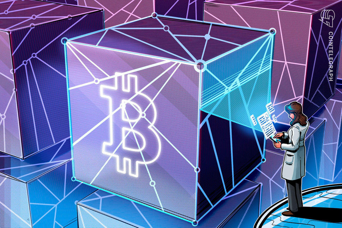 Bitcoin can scale on chain simply advantageous as a retailer of worth, Blockdaemon CEO suggests
