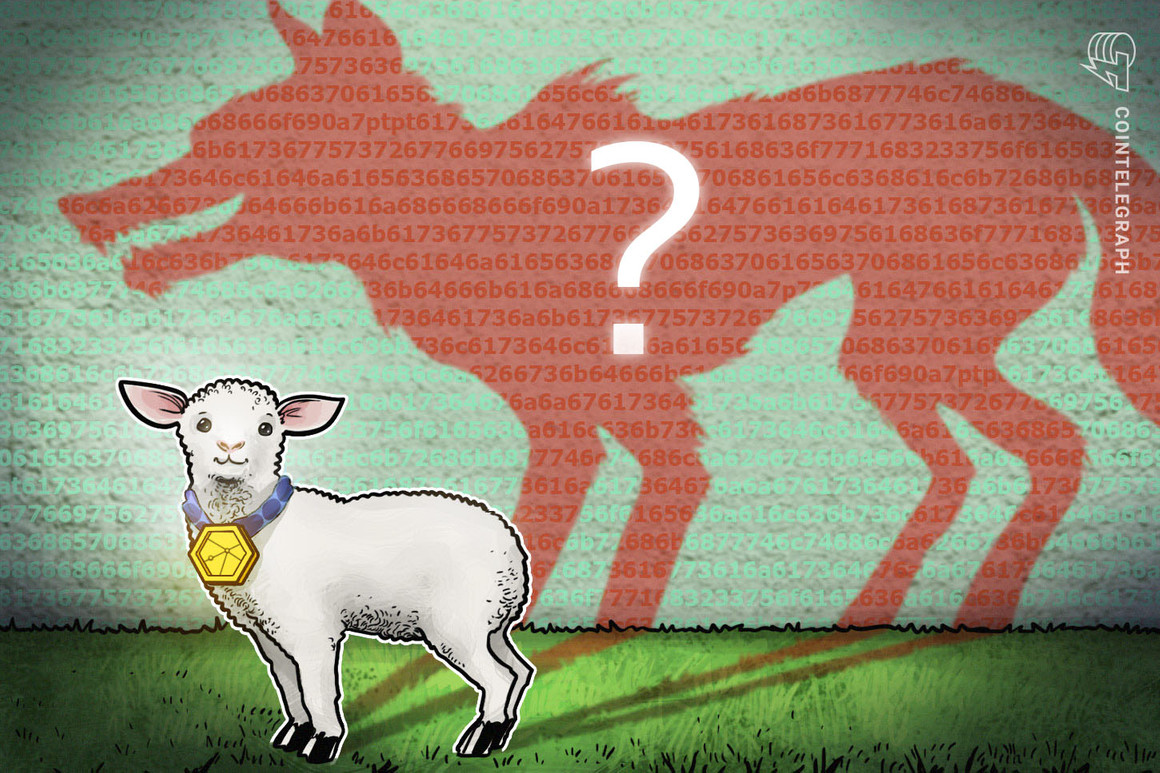 Be taught crypto from Biden’s SEC chair choose, half 2/3