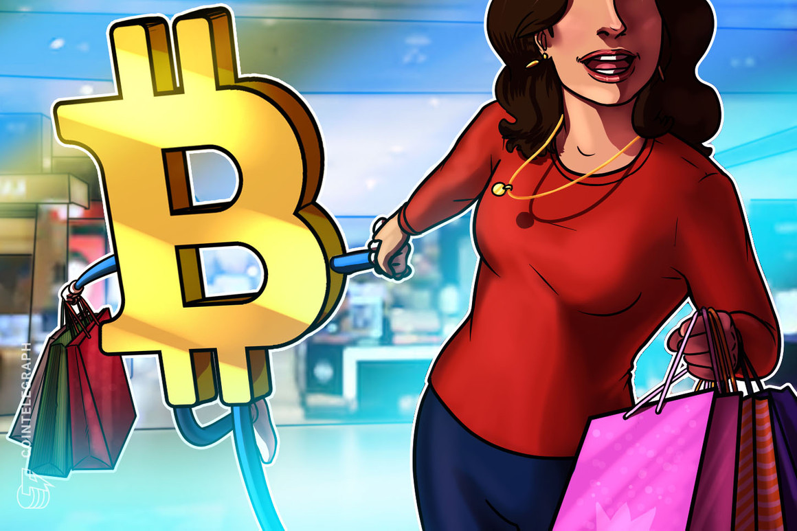 Retail merchants, not hotshots like MicroStrategy, made Bitcoin in 2020