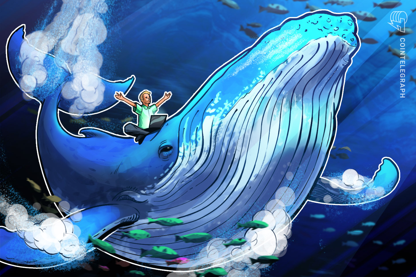 Bitcoin whales are profiting as ‘weak fingers’ promote BTC all through $40Okay bull run Bitcoin whales are profiting as ‘weak fingers’ promote BTC all through $40Okay bull run