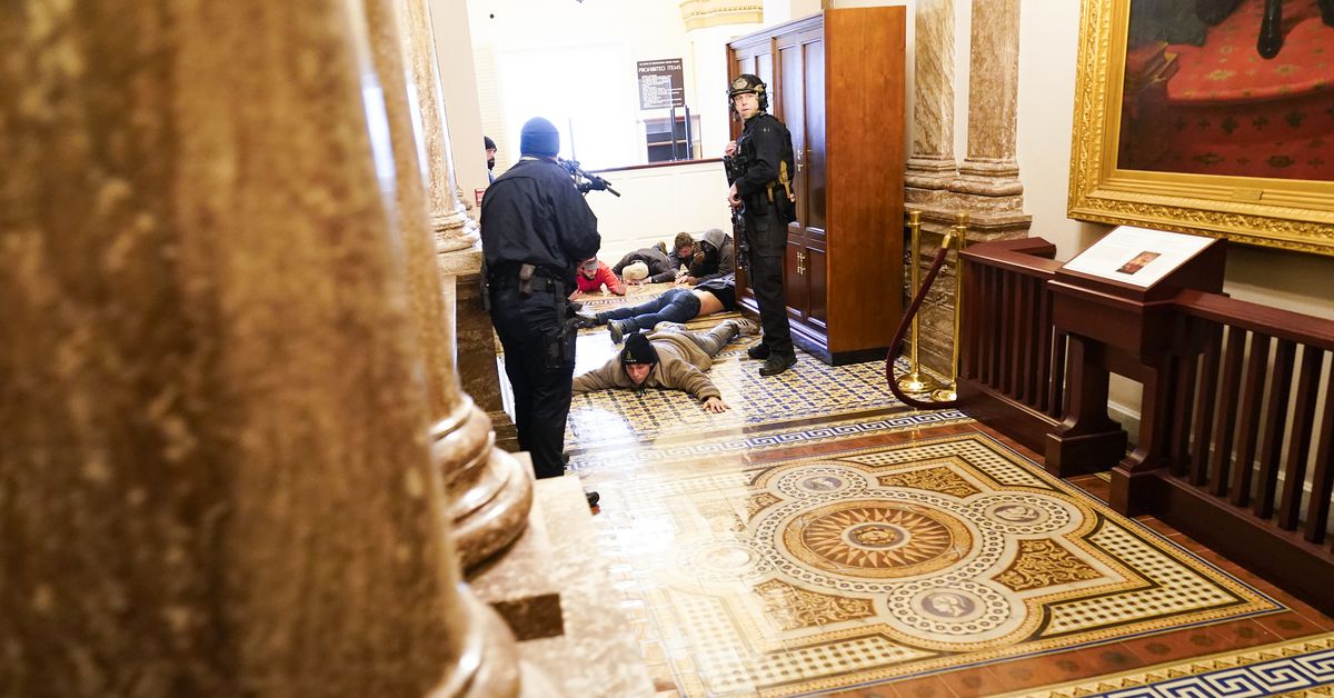 Everybody who stormed the Capitol ought to be arrested