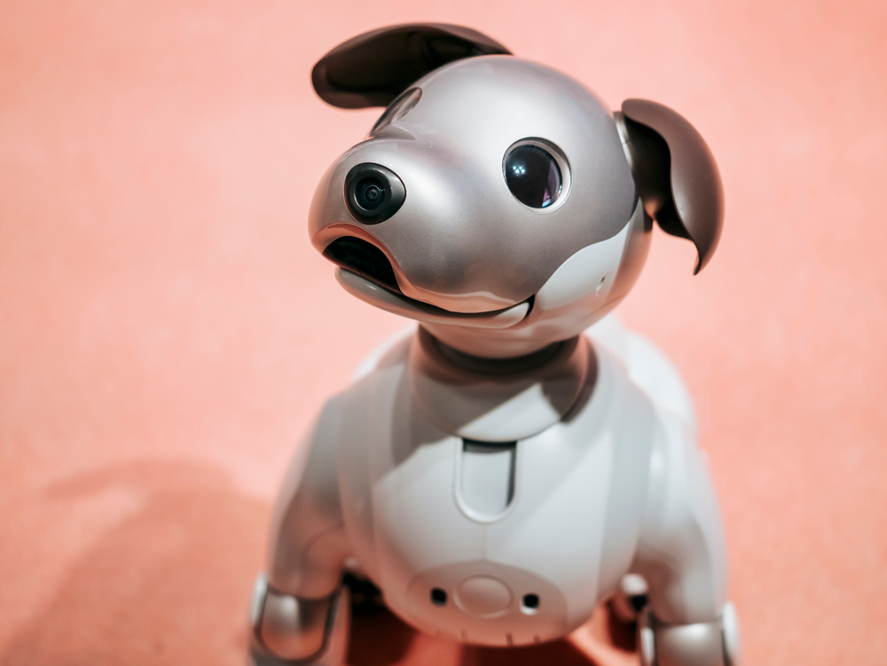 Not the Newest Robotic: ‘IDOG’ ETF Poised for Extra Features