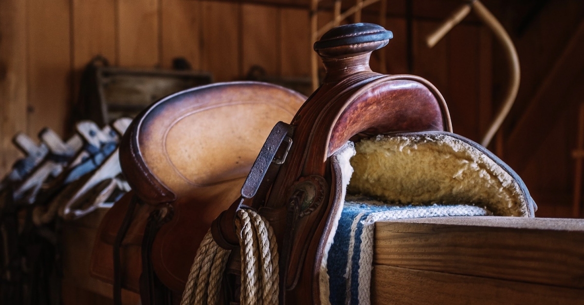 Saddle Raises $4.3M for Slippage-Free DeFi Buying and selling