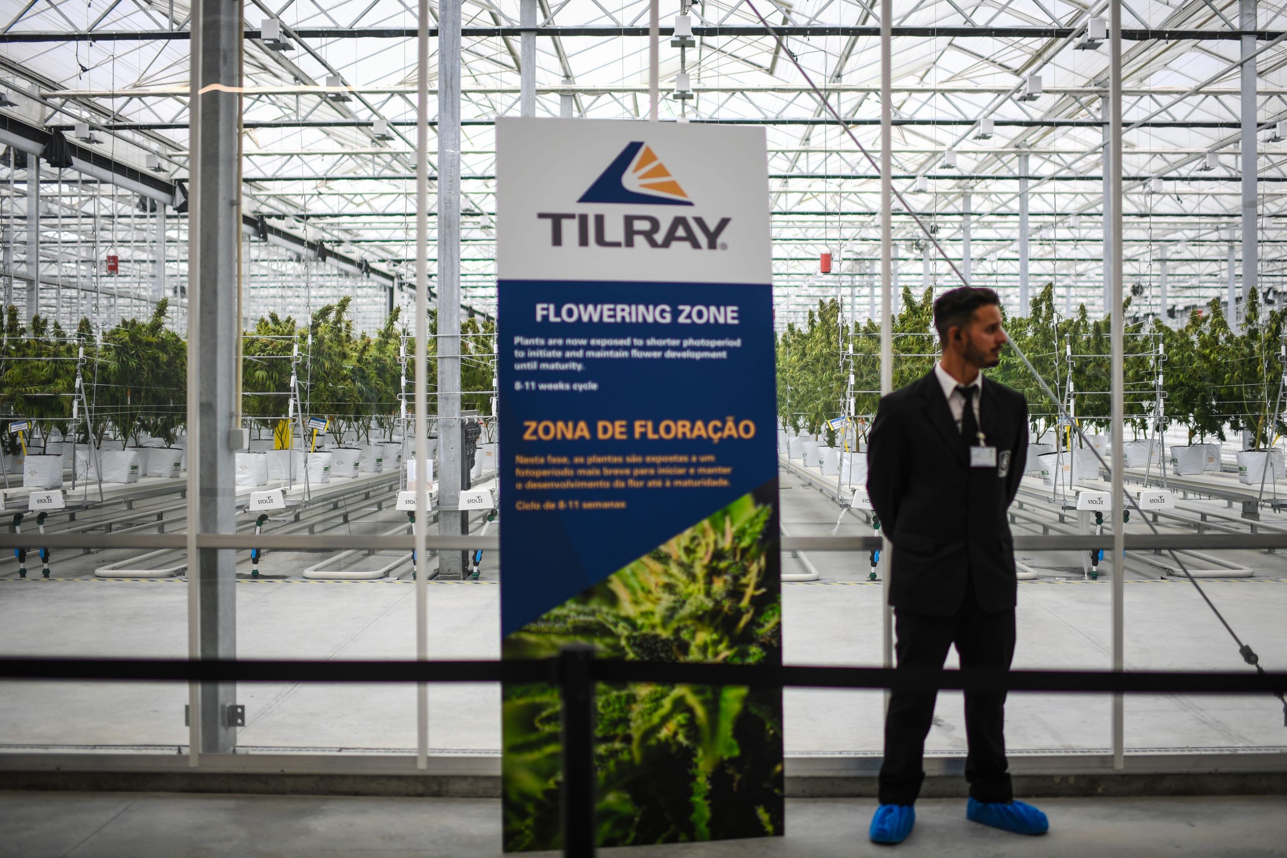 Tilray inventory rallies on pot distribution settlement with Develop Pharma